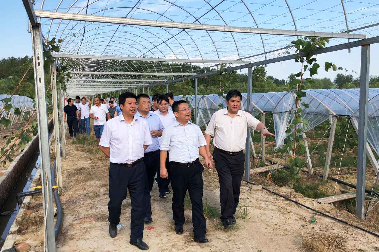 1277星际电子(中国游)官方游戏网址